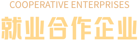 合作企业